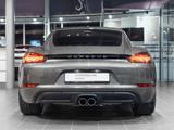 Porsche 718 Cayman Style Edition 220kW / 300hp - Porsche Cayman: 718 Style Edition