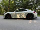 Porsche Cayman GT4 GT4