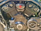 Harley-Davidson Night Rod Special  V-Rod - HARLEY-DAVIDSON NIGHT ROD SPECIAL