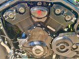 Harley-Davidson Night Rod Special  V-Rod - Angebote entsprechen deinen Suchkriterien
