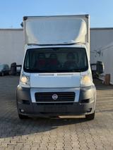 Fiat Ducato - gebrauchte Fiat Ducato aus dem Jahr 2014