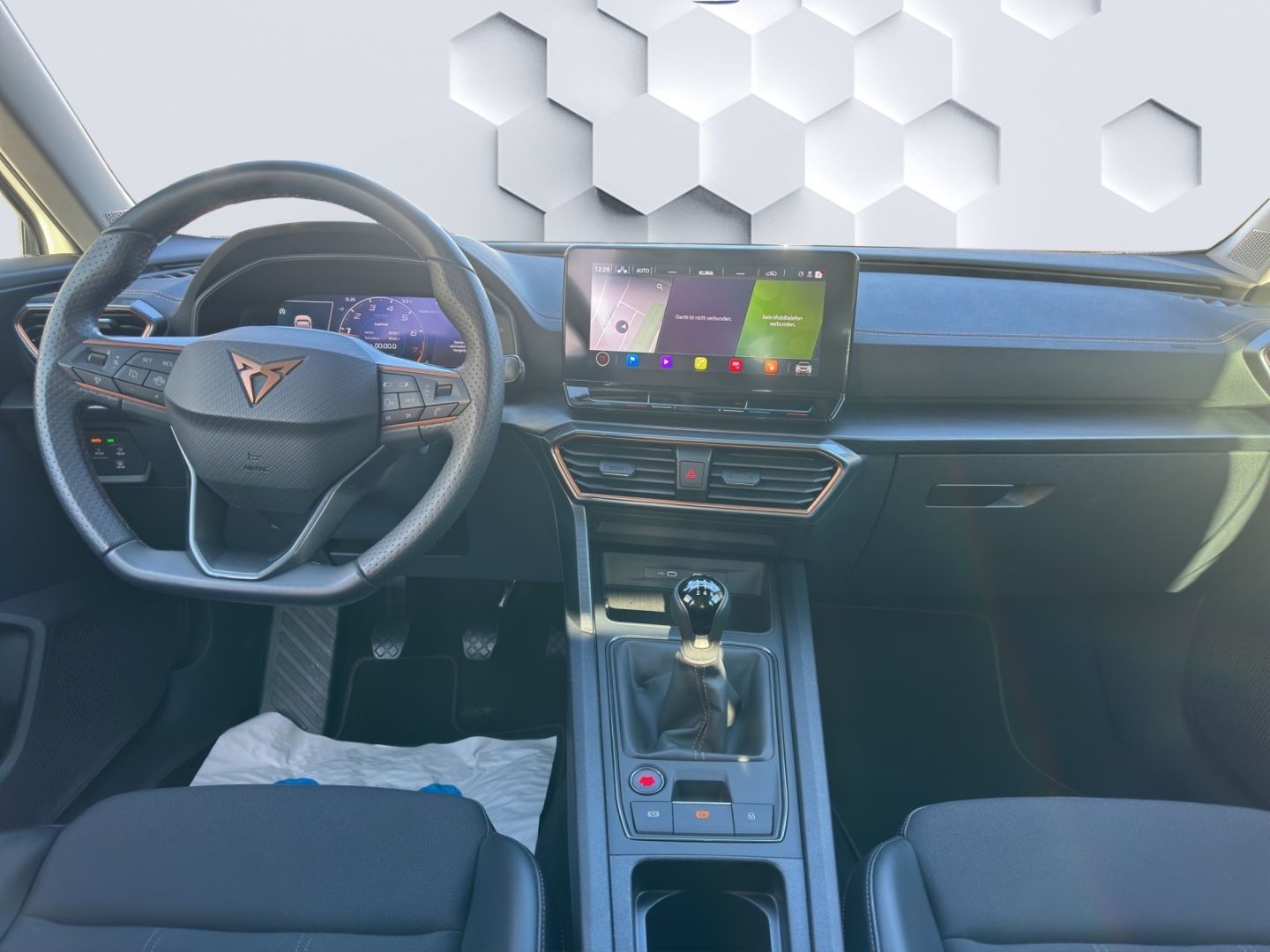 Formentor Basis 1.5TSI 110kW 6-Gang AHZV,LED, GJ