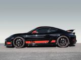 Porsche Cayman 718 GT4 Sports Cup Edition Clubsportpaket - Porsche: Cup