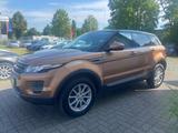 Land Rover Range Rover Evoque Pure=Automatik-Sitzheiz-Temp= - gebrauchte Land Rover Range Rover Evoque aus dem Jahr 2013