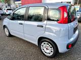 Fiat Panda Cool-klima - Fiat Panda Gebrauchtwagen in Bremen