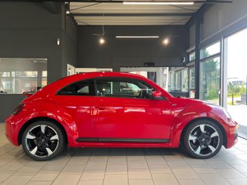 Volkswagen Beetle - 9