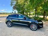 Audi SQ5 3.0 TDI tiptronic quattro - - Audi SQ5 in Augsburg
