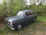 Fiat 1100-kleines italienisches Auto ganz groß ! - : Italien