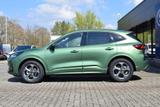 Ford Kuga ST-Line LED / ACC 360° Kamera TWA - Ford Kuga Neuwagen