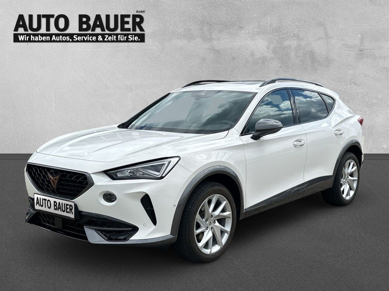 Fahrzeugabbildung CUPRA Formentor 2.0 TDI 4Drive (150PS) 7-Gang-DSG