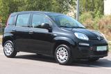 Fiat Panda Easy - Fiat Panda Gebrauchtwagen in Bochum