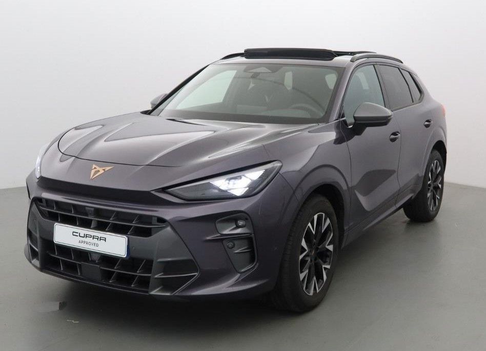 Image of Cupra Terramar