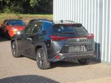 Lexus UX 300h F Sport Design Klimaaut., ACC,SpurH, LM - Lexus UX: F Sport