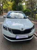 Skoda Octavia 2.0 TDI DSG Drive AHK Combi  - Skoda Octavia Drive mit Diesel-Antrieb