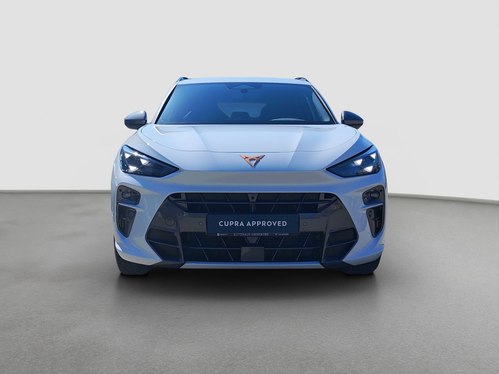 Cupra Terramar - Bild 3