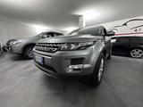 Land Rover Range Evoque 2.2 Sd4 5p. Pure - gebrauchte Land Rover Kombis