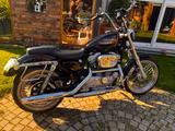 Harley-Davidson Sportster 883 XL1 - Angebote