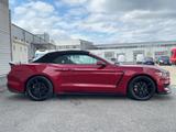 Ford Mustang 2.3 EcoBoost/auto/Shelby GT350 Optik - Ford Mustang: 350gt