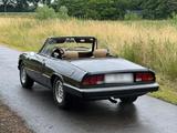 Alfa Romeo Spider 2.0 Oldtimer  - gebrauchte Alfa Romeo Spider aus dem Jahr 1983
