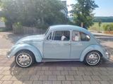 Volkswagen Käfer 1300L H-Kennzeichen TÜV neu - Volkswagen Käfer: Limousine