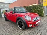 MINI Mini Cooper Cabrio 1.6 Facelift Klima - MINI Cooper Cabrio mit Facelift
