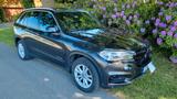 BMW X5 xDrive40d - Ahk 3,5t Top Zustand 