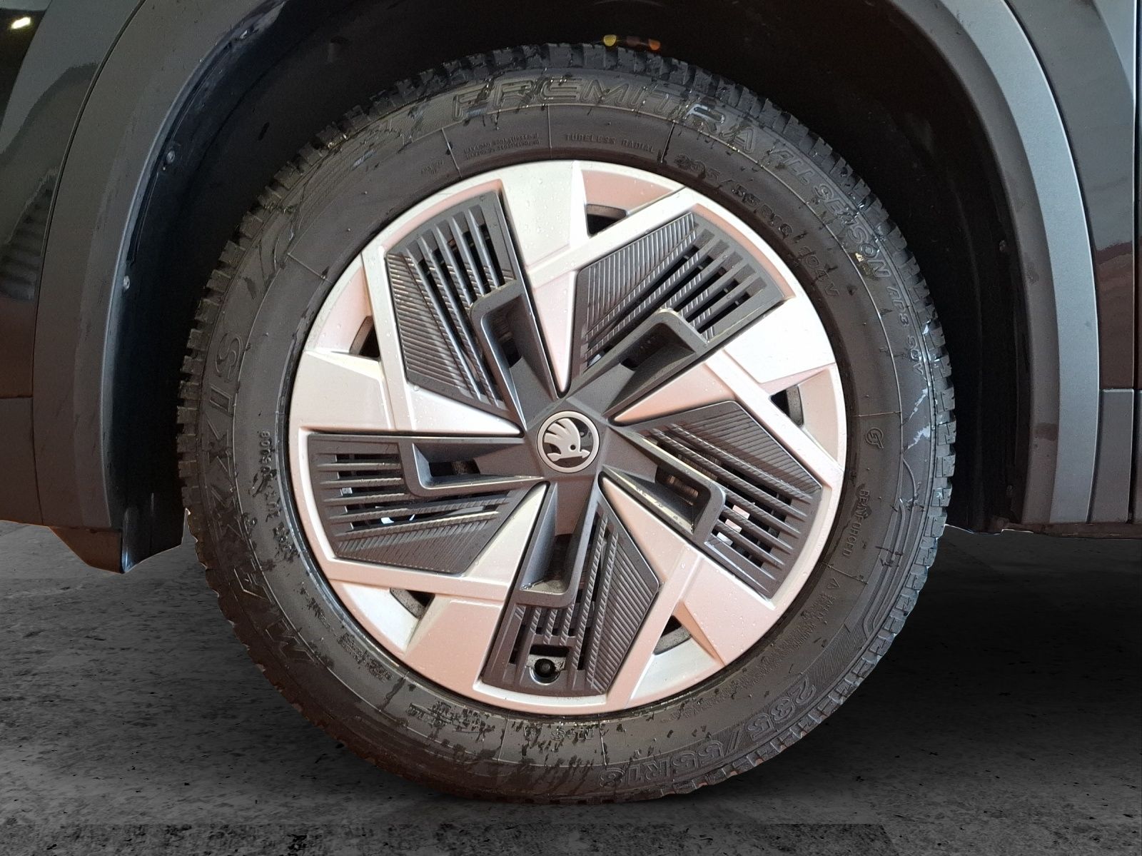 Fahrzeugabbildung SKODA Kodiaq TSI Selection DSG 4x4 7-Si Matrix AHK Nav