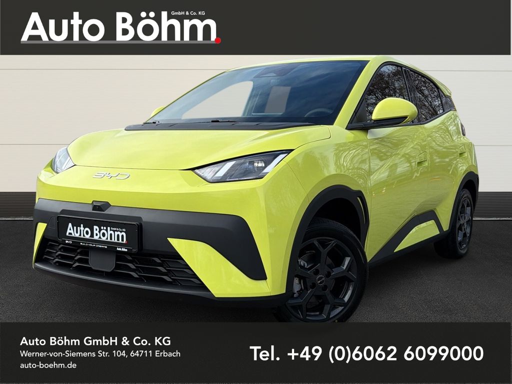 Image of BYD DOLPHIN SURF