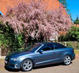 Audi A3 35 TFSI S tronic Cabriolet - - Audi Gebrauchtwagen in Lüneburg