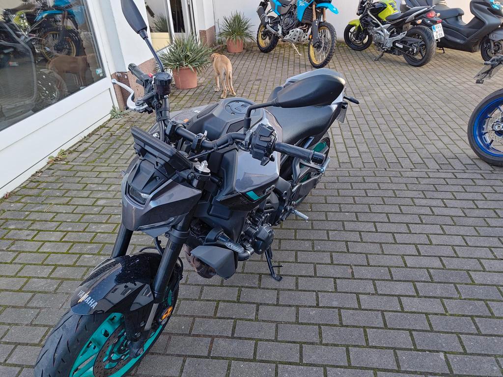 Yamaha MT09 YAMT MY24 Vorführer 