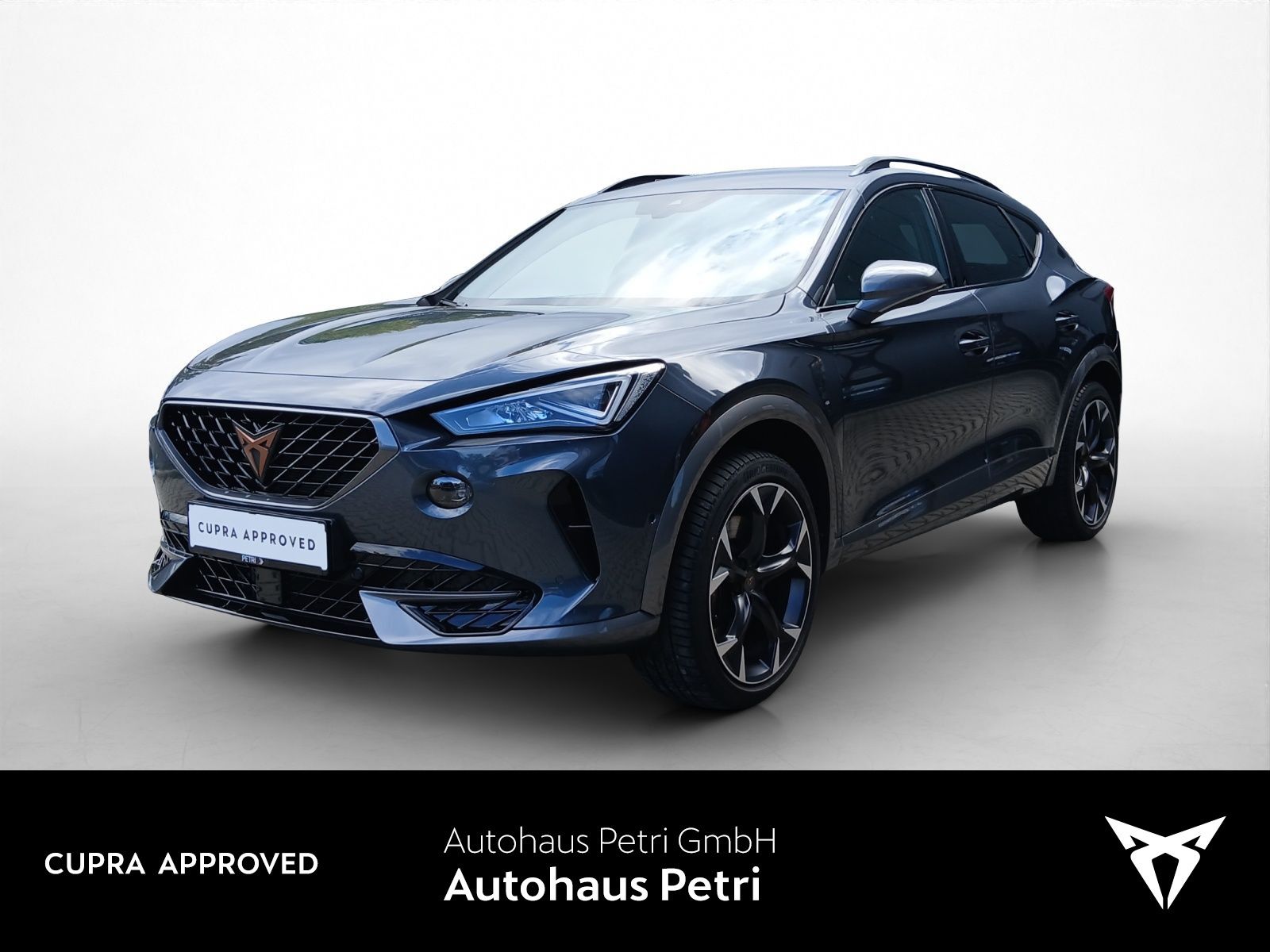 Cupra Formentor 2.0 TSI VZ*4x4*KAM*PDC*LED*SHZ*NAVI*