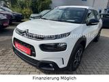 Citroën C4 Cactus Shine Pack - gebrauchte Citroën C4 Cactus aus dem Jahr 2020