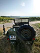 Jeep Willys - Jeep Willys Gebrauchtwagen