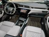 Cupra AUDI E-tron 55 mit Panoramaglasdach  - Cupra Born mit Schiebedach