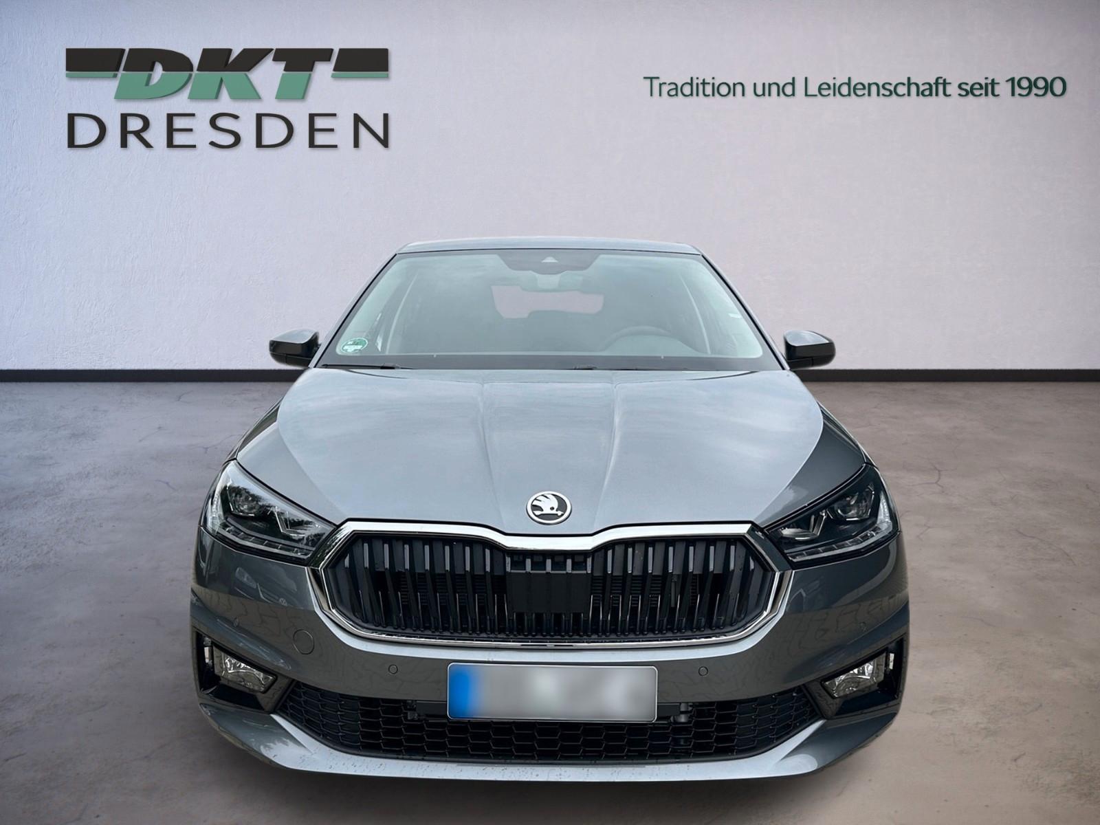 Skoda Fabia Tour/Winter+/LHZ/Fahrass.