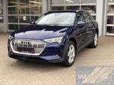 Audi e-tron 50 Quattro Assistenzpaket Tour ab. AHK