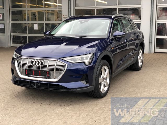 Audi e-tron 50 Quattro AHK Standhzg. 