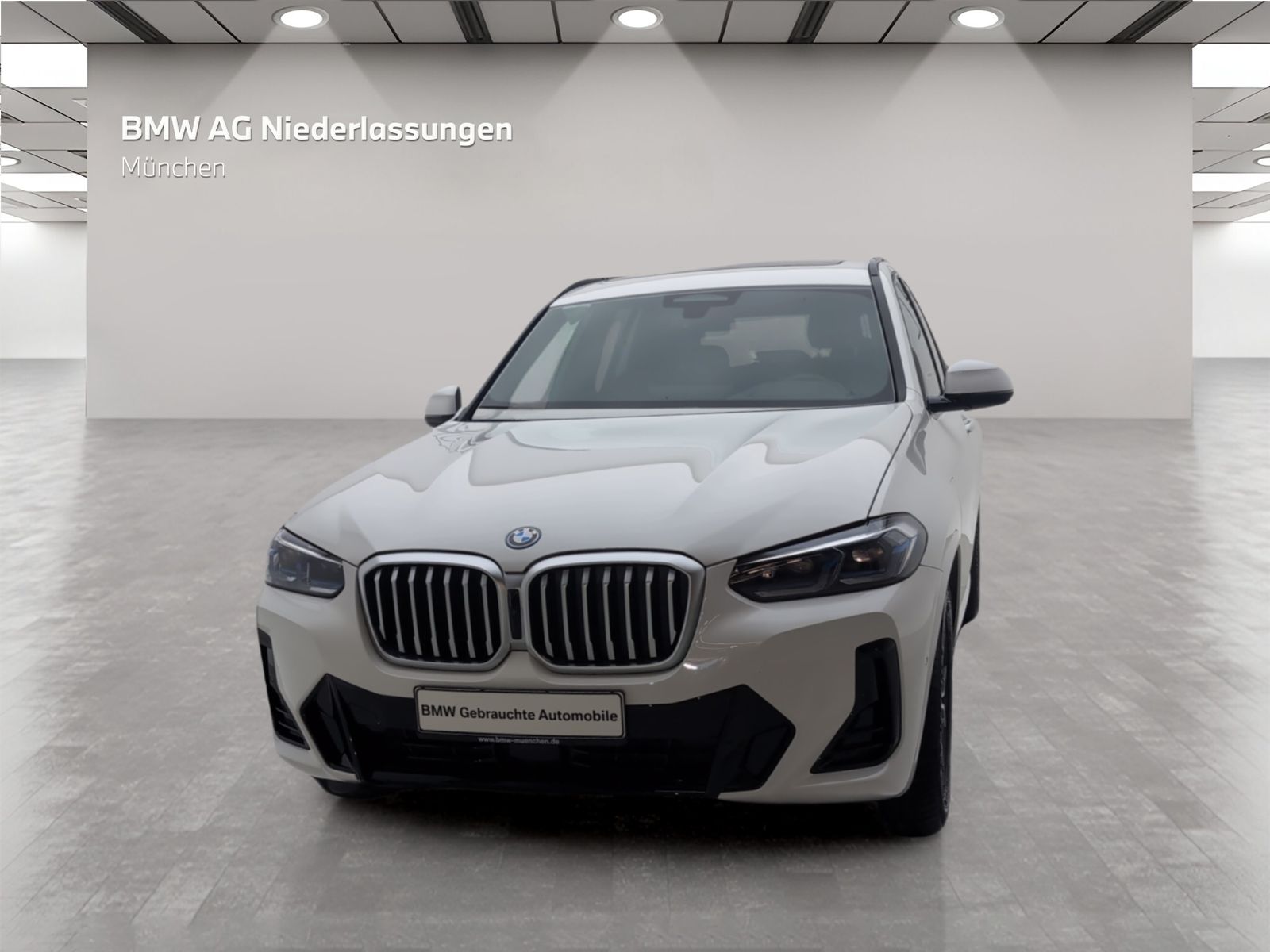 BMW X3 xDrive30e M Sport AHK Driv.Assist.Prof Laser foto 3