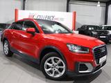 Audi Q2 1.6 TDI DESIGN / VIRTUAL-COCKPIT / PANORAMA - Audi: Geländewagen, Q6