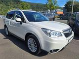 Subaru Forester 2,0 CVT*El.PANO-SD*AHK*StandHzg*TOP! - weiße Subaru Forester