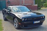 Dodge R/T V8 Leder Uconnect Xenon LED Tüv&Service neu - Dodge Challenger