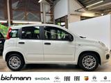 Fiat Panda Base 1.0 DAB+ USB Allwetterreifen - gebrauchte Fiat Panda aus dem Jahr 2021