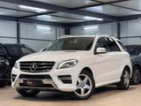Mercedes-Benz ML 350 CDI BlueTec AMG*AHK*SITZ*AIR - Mercedes-Benz ML 350 in Frankfurt (Main)