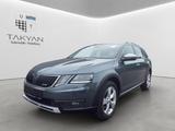 Skoda Octavia Combi Scout 4x4 / 1.Hand / PANO / LED - Skoda Octavia Scout mit Benzin-Antrieb