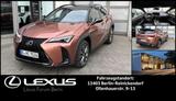 Lexus UX 300h 2,0 HEV F-SPORT DESIGN *Sonderedition* - rote Lexus UX