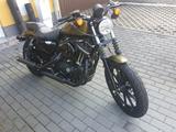 Harley-Davidson Sportster XL  883N  Iron - Offers matching your search criteria