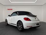 Volkswagen Beetle Cabriolet Sport-KEYLESS-TEMPOMAT-FENDER - Volkswagen Beetle: Leder
