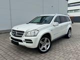 Mercedes-Benz GL 350 BlueTEC 4MATIC - - Mercedes-Benz GL 350 aus 2010