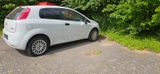Fiat Punto 1.4 8V Active Active - Fiat Punto aus 2009: 1.4
