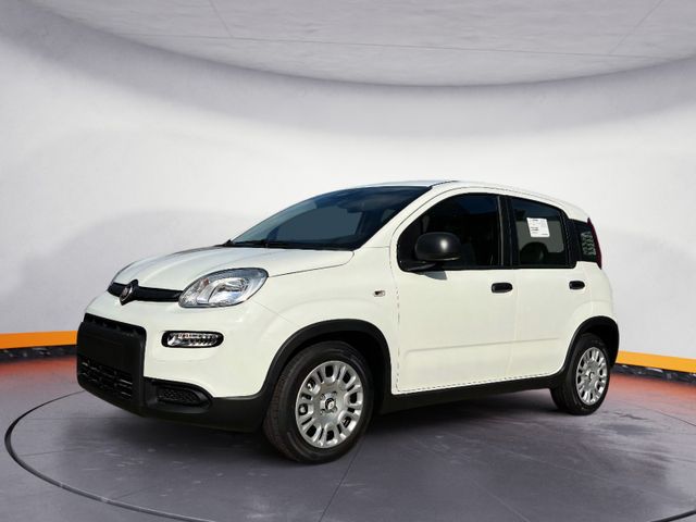 Fiat Panda Neues Modell 1.0 *5 Sitzer Klima PDC DAB*